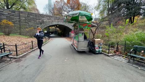 POV-perspective-shot-walking-by-Hot-Dog-food-cart-in-Manhattan's-Central-Park