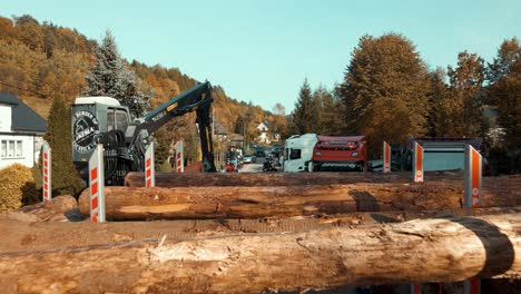 Timber-crane-loading-tree-logs-on-wood-trucks