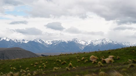 Picturesque-snowy-mountain-range-in-background-of-green-pastures-on-windy-day-in-New-Zealand
