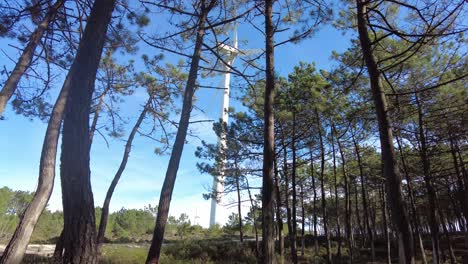 Wind-turbine-spinning-behind-pine-forest-with-another-in-the-distance