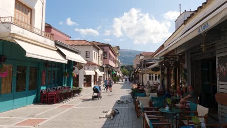 Static-shot-of-an-Ioannina-street-with-people-walking-through-the-street-with-dogs-lying