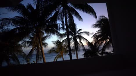 Night-time-look-over-palm-trees-sunset-and-ocean-in-Honduras
