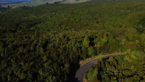 aerial-drone-of-rdense-trees-and-bushes-in-Australia