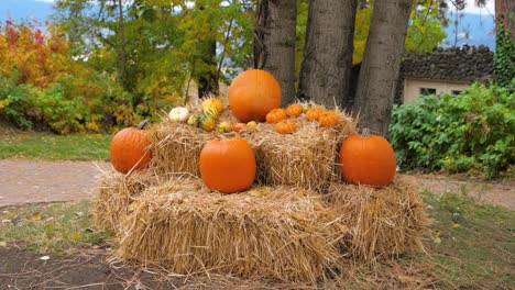 Pile-of-small-and-large-orange-pumpkins-on-haybales-midday-next-to-trees
