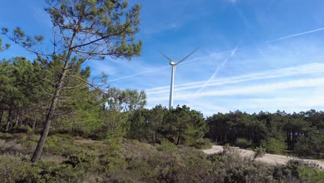 Wind-turbine-spinning-quickly-in-pine-forest-with-blue-sky