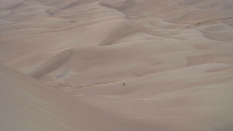 Hikers-traversing-massive-sand-dune-field-in-Great-Sand-Dunes-National-Park
