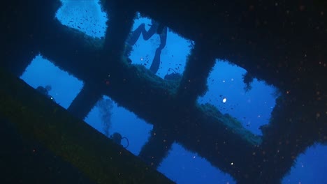 Scuba-divers-swimming-over-ship-wreck-filmed-underwater-from-inside-sunken-shipwreck