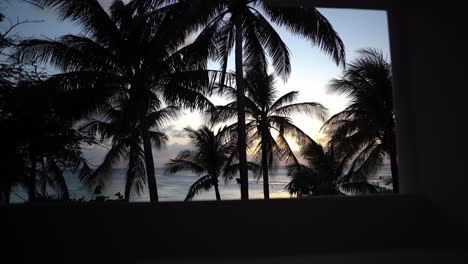 Palmen-Im-Wind-Mit-Meerblick-Bei-Sonnenuntergang-Auf-Der-Karibikinsel