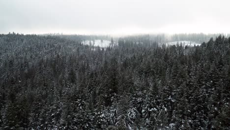 Heavy-Snowfall-over-Dense-Forests-in-the-Thompson-Nicola-Region:-Backwards-Drone-Shot
