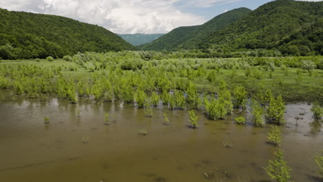 Tkibuli-lake-reservoir-valley-with-tributary-river-and-lush-vegetation