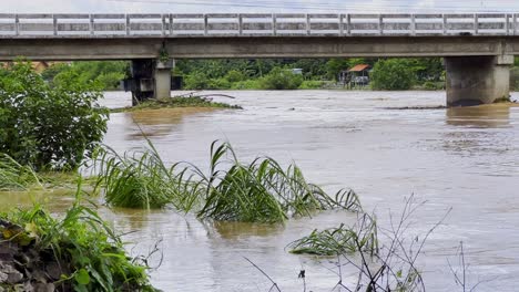 River-With-High-Water-Level-After-Heavy-Storm-In-Phuket,-Thailand