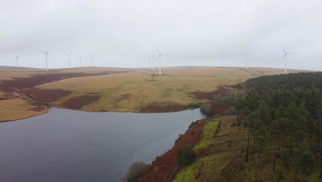 Wind-Turbines-and-Forest-Tree-Plantation-Aerial-View-with-Reservoir-on-Overcast-Day-4K---Rising-Aerial-Drone-Shot