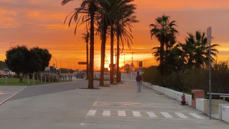 A-man-in-silhouette-walks-through-a-parking-car-in-middle-of-palm-trees-with-sunset-in-background