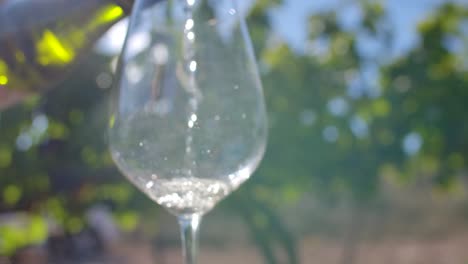Ein-Durchsichtiges-Glas-Mit-Weißwein-Füllen