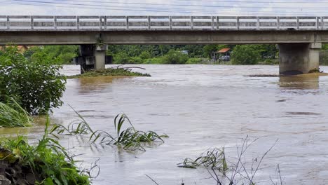 Trees-Inundated-In-Flooded-River-With-Critical-Water-Level-Flowing-Under-The-Bridge-In-Thailand