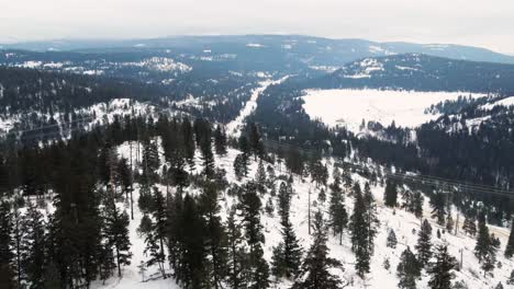 Luftaufnahme-Eines-Bewaldeten-Berges-Im-Bezirk-Thompson-Nicola:-Eine-Wunderschöne-Winterlandschaft