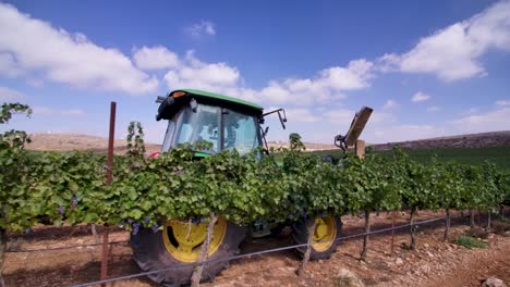 A-tractor-moving-through-the-rows-of-a-vineyard,-followed-by-the-camera