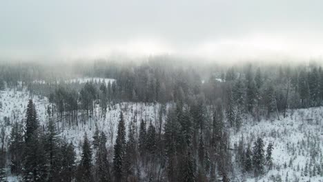 Espectacular-Escena-Invernal:-Llamarada-De-Nubes-Durante-Fuertes-Nevadas-Sobre-Bosques-De-Pinos-Y-Abetos-En-La-Región-De-Thompson-Nicola