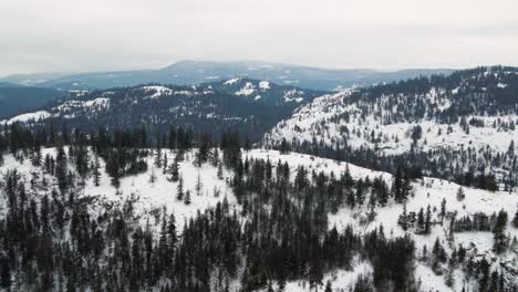 Winterliche-Landschaft-Der-Region-Thompson-Nicola:-Kamerafahrt-Rechts-Von-Geschichteten,-Schneebedeckten-Waldhügeln-An-Einem-Bewölkten-Tag