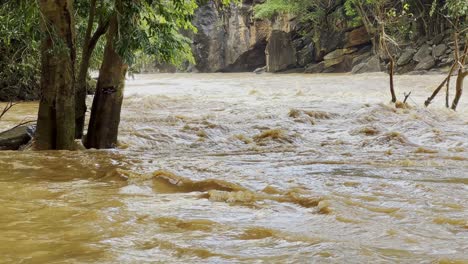 Agua-Fangosa-Del-Río-Que-Fluye-A-Través-Del-árbol-Inundado-En-Tailandia