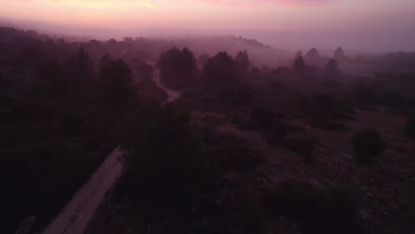Rural-dirt-road-in-woodland-landscape-during-misty-morning-sunrise,-aerial