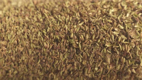 Close-Up-Of-Green-Organic-Oregano-Herbs-On-Turntable-Platform
