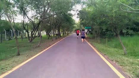 Gente-Haciendo-Actividades,-Caminando,-Trotando,-Andando-En-Bicicleta-Y-Patines-En-El-Parque