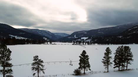 Winter's-Magic:-Snowy-Fields-and-Wooded-mountains-during-a-Cloudburst-near-Westwold-in-the-Thompson-Nicola-Region:-zoom-pan-left-shot