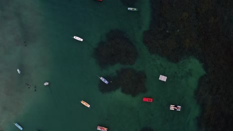 Rotating-bird's-eye-top-down-aerial-drone-shot-over-crystal-clear-green-water-with-anchored-sailboats,-rocks,-and-seaweed-below-in-Porto-de-Galinhas-or-Chicken-Port-beach-in-Pernambuco,-Brazil