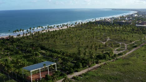 Tilt-up-aerial-drone-shot-revealing-the-beautiful-tropical-coastline-of-Pernambuco,-Brazil-near-the-famous-tourist-beach-of-Porto-de-Galinhas-or-Chicken-Port-with-a-field-of-palm-trees-and-the-ocean