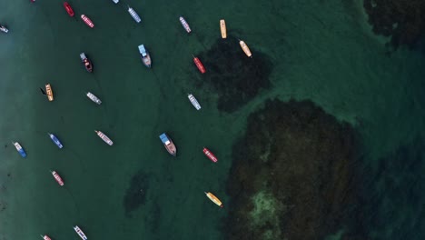 Bird's-eye-top-down-aerial-drone-shot-passing-over-crystal-clear-green-water-with-anchored-sailboats,-rocks,-and-seaweed-below-in-Porto-de-Galinhas-or-Chicken-Port-beach-in-Pernambuco,-Brazil