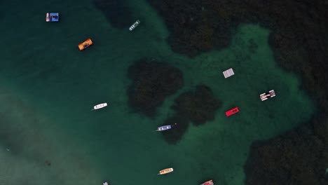 Bird's-eye-top-down-aerial-drone-shot-over-crystal-clear-green-water-with-anchored-sailboats,-rocks,-and-seaweed-below-in-Porto-de-Galinhas-or-Chicken-Port-beach-in-Pernambuco,-Brazil