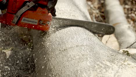 Close-Up-Of-Husqvarna-Chainsaw-Cutting-In-Tree-Trunk