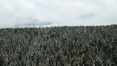 Backward-Flight-Over-Snowy-Forest-and-Cloud-Covered-Mountain-Scenery-in-British-Columbia,-Canada:-Aerial-View-from-Drone