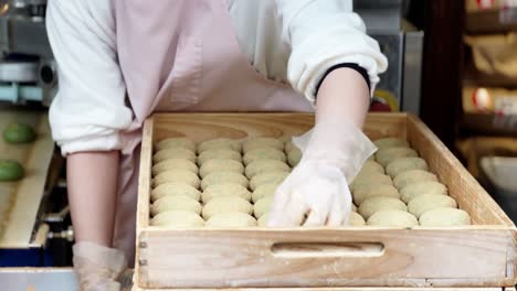 hands-in-starch-making-mochi-sticky-glutinous-Japanese-rice-cake-dessert-in-a-factory