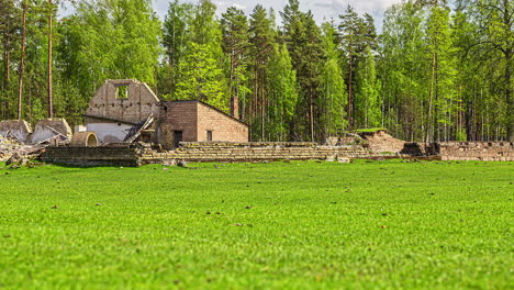 Green-vibrant-forest-and-reindeer-farm,-fusion-time-lapse-view