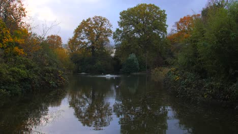 Nature-Reflections-On-Pond-During-Autumn-In-Greenwich-Park,-London,-United-Kingdom