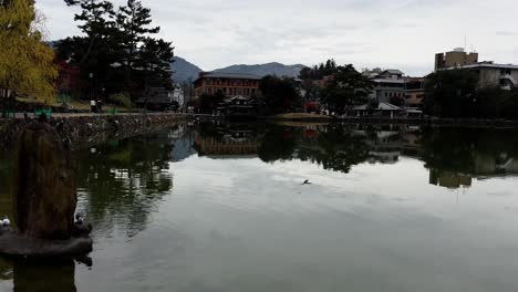 Teich-Mit-Vögeln-Und-Blick-über-Asiatischen-Buddhistischen-Tempel,-Nara,-Japan