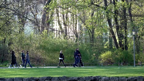 People-are-walking-in-the-English-Garden-in-Munich