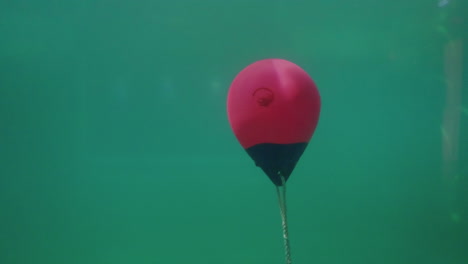 Red-Round-Fender-Floating-At-The-Bottom-Of-Turquoise-Ocean-Water