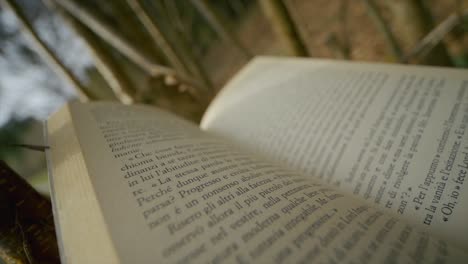 Close-Up-Shot-Of-Open-Book-In-Green-Nature