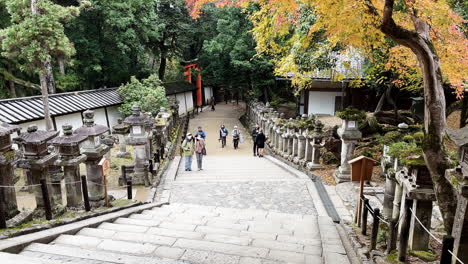 Tourists-Walking-at-Sight-With-Japanese-Laterns,-Nara-Japan