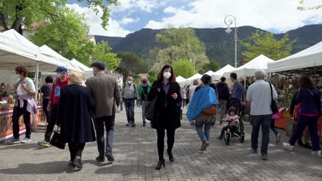 Visitors-and-shoppers-walking-throug-the-annual-flower-market-and-looking-at-the-flowers-and-plants-on-display-