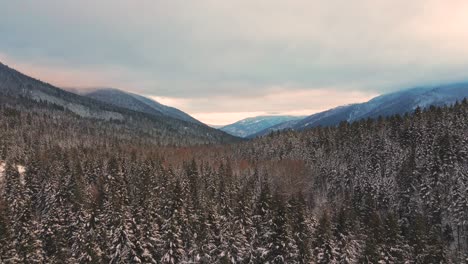 Hora-Dorada-En-El-Invierno-Místico:-Hermosa-Toma-De-Drones-De-Bosques-Cubiertos-De-Nieve-Y-Majestuosas-Montañas-En-La-Región-De-Thompson-nicola,-Bc,-Canadá