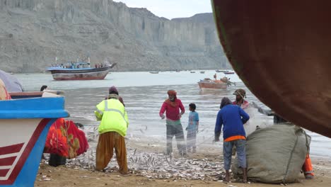 Local-Fisherman-Sorting-Catch-From-Net-On-Beach-At-Gwadar