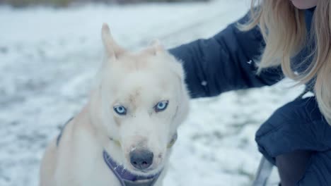 A-girl-hugging-kissing-a-dog-in-the-snow-of-Husky-Siberia