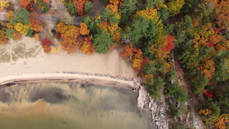Drone-view-of-area-near-lake-with-light-sand-and-changing-trees-during-spring