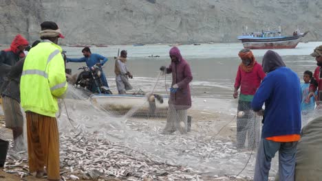 Local-Fisherman-Sorting-Catch-From-Net-On-Beach-At-Gwadar