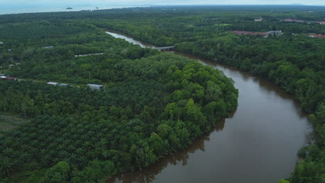 Drohnenansicht-Von-ölpalmenfeldern-Und-Fluss-In-Pahang,-Malaysia