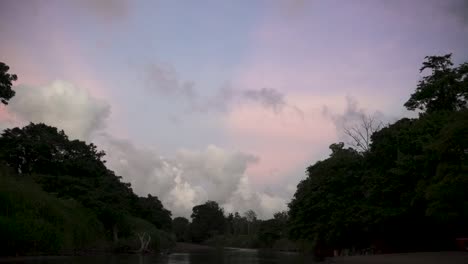 View-of-the-Tarcoles-river-vegetation-in-Costa-Rica-with-pink-sunset-clouds-behind,-Wide-locked-shot